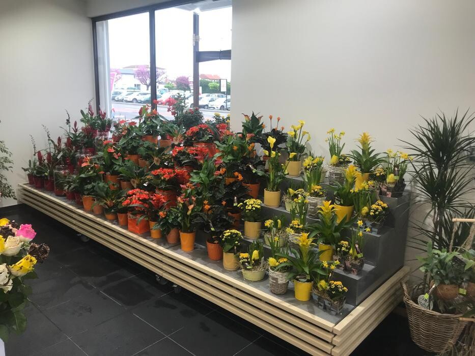 Images Carrément Fleurs - Fleuriste Tarbes 65 - Livraison de fleurs à domicile