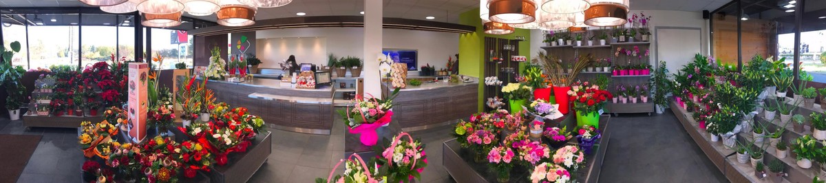 Images Carrément Fleurs - Fleuriste Toulouse Revel 31 - Livraison de fleurs à domicile