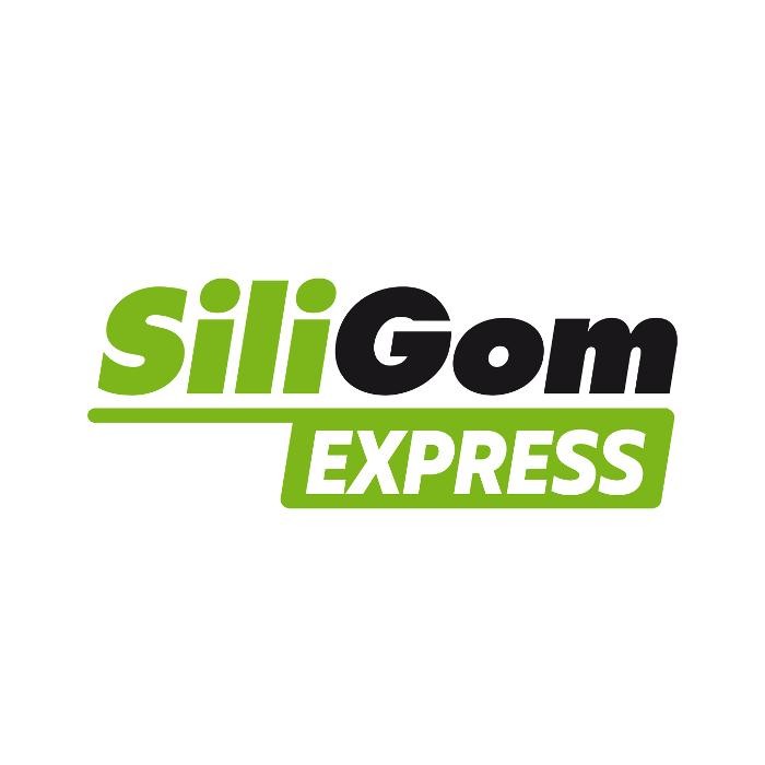 Images SILIGOM EXPRESS - CARROSSERIE TECHNI'CARS