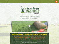 Screenshot for https://www.gazonniere-des-bastides-84.fr