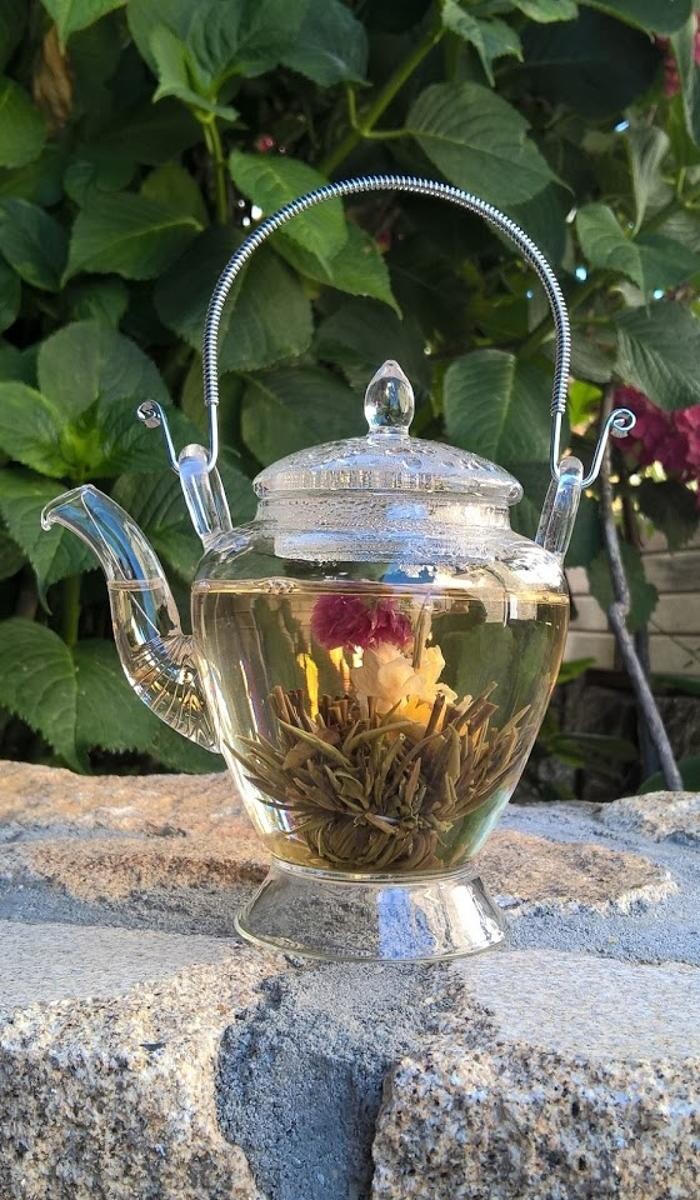 Images Les Cafés de Rhuys