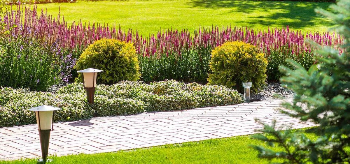 Images AP TERRASSEMENT