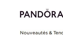 Website Screenshot Pandora