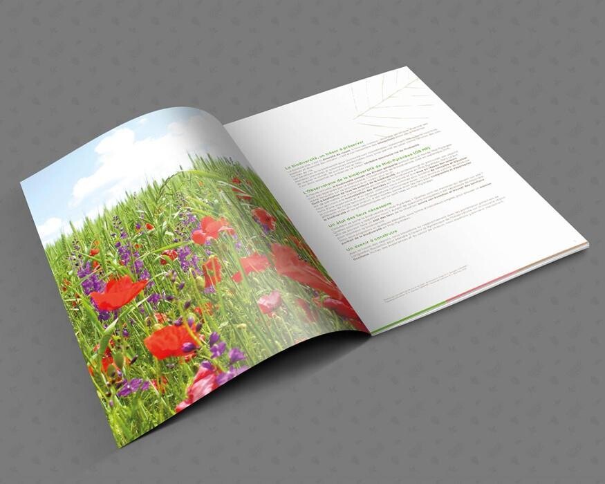 Images IMPRIMERIE PERE