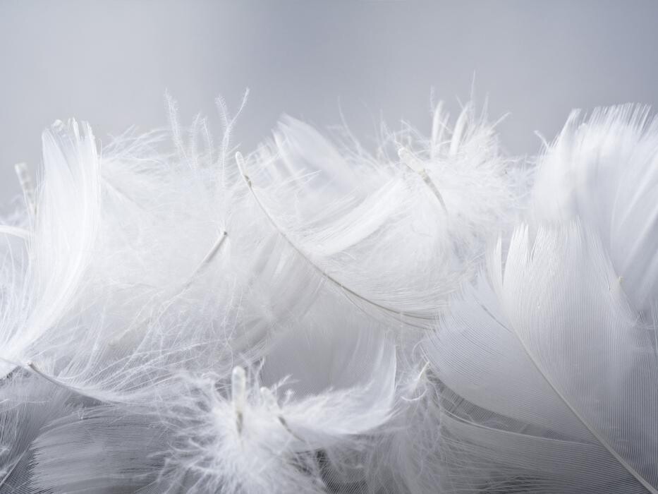 Images Exclusiv Électroménager / Love Literie - Magasin d'Electroménager, Literie, Cuisine & Salle de Bain