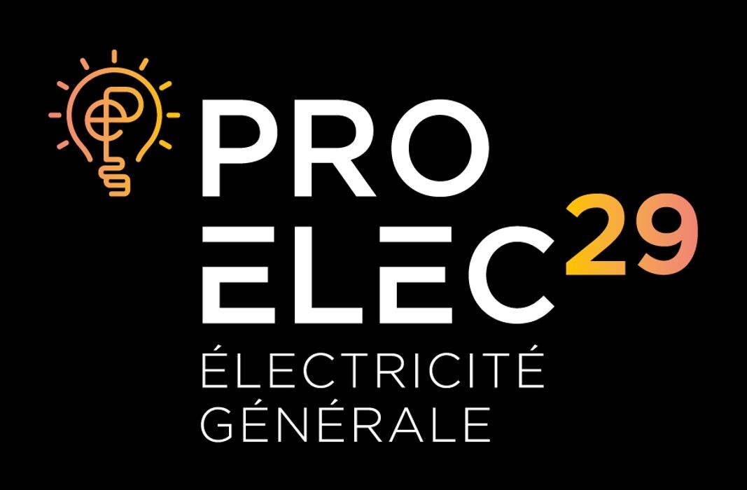 Pro Elec 29 Logo