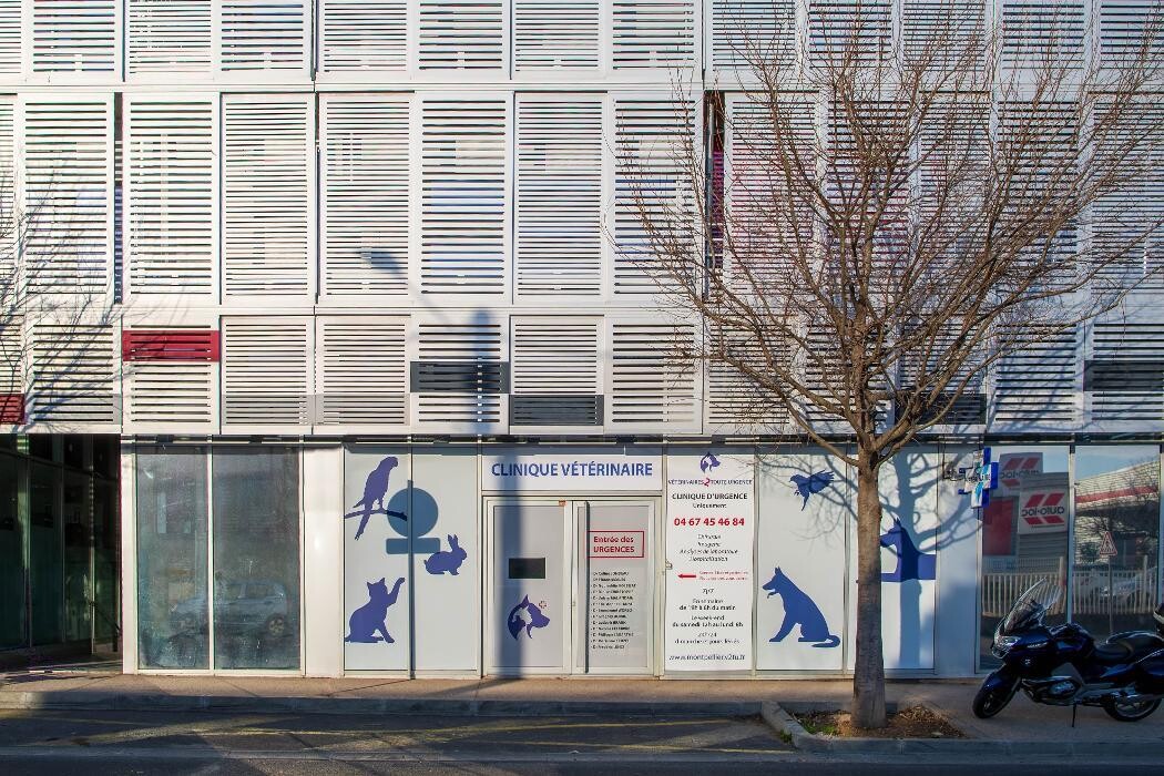 Images Veterinaires 2 Toute Urgence