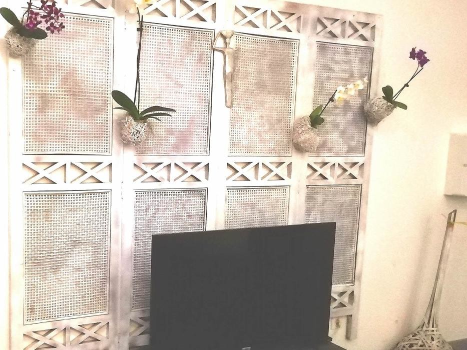 Images Le Jardin de Ravintsara Gites LA REUNION