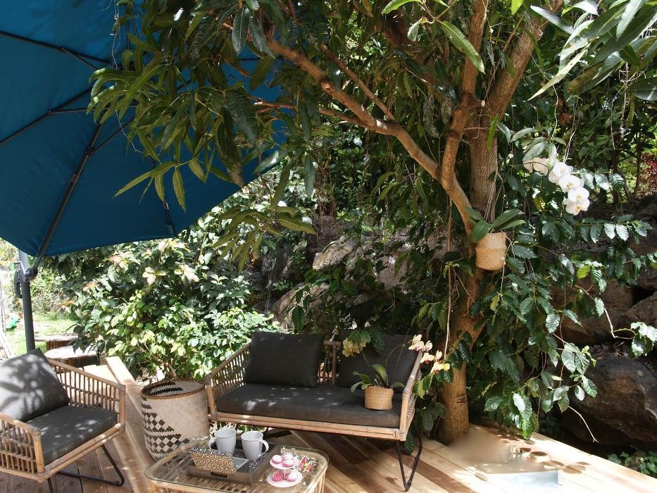 Images Le Jardin de Ravintsara Gites LA REUNION