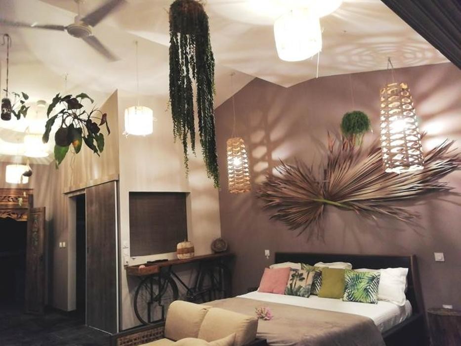 Images Le Jardin de Ravintsara Gites LA REUNION