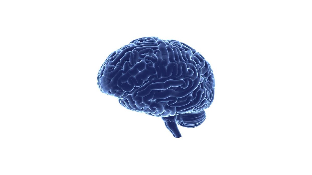 Images IT'S BRAIN