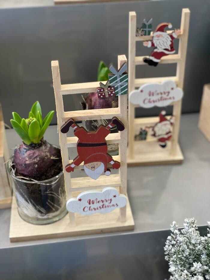 Images Carrément Fleurs - Fleuriste Cabestany Perpignan 66 - Livraison de fleurs à domicile