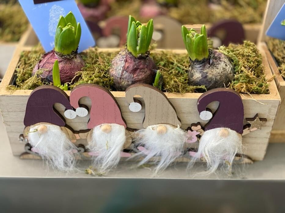 Images Carrément Fleurs - Fleuriste Cabestany Perpignan 66 - Livraison de fleurs à domicile