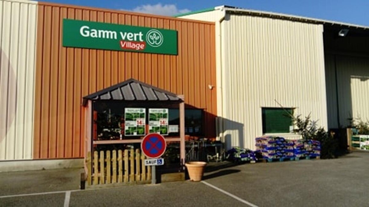 Images GAMM VERT