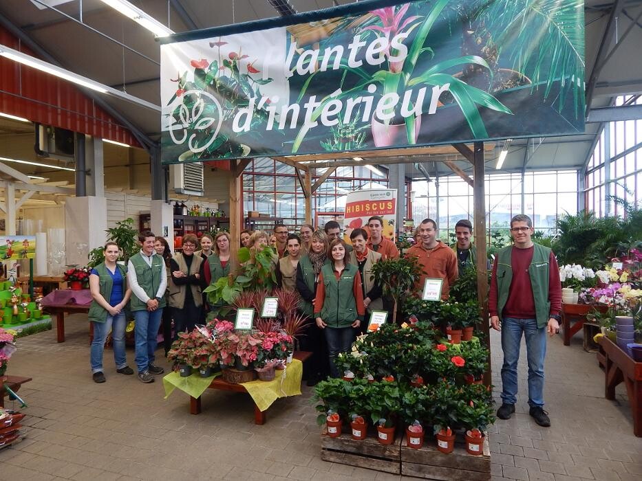 Images GAMM VERT