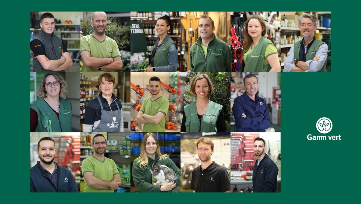 Images GAMM VERT