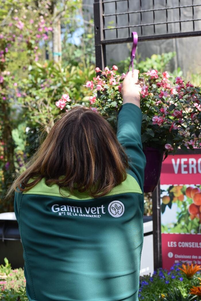 Images GAMM VERT