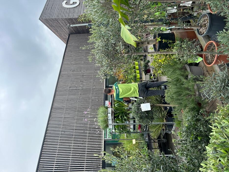 Images GAMM VERT