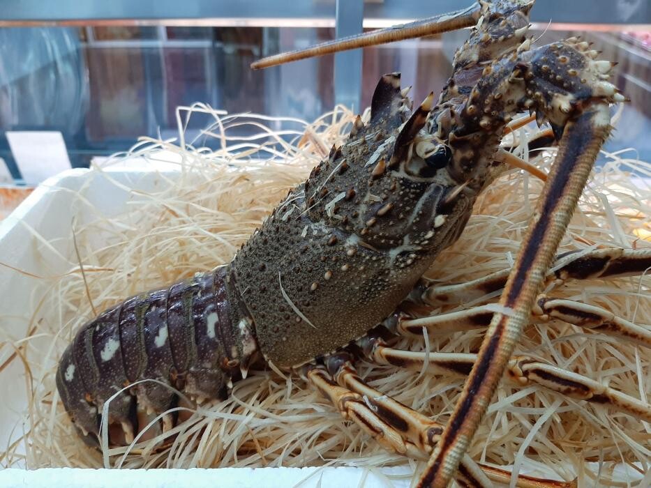 Images La poissonnerie le Homard
