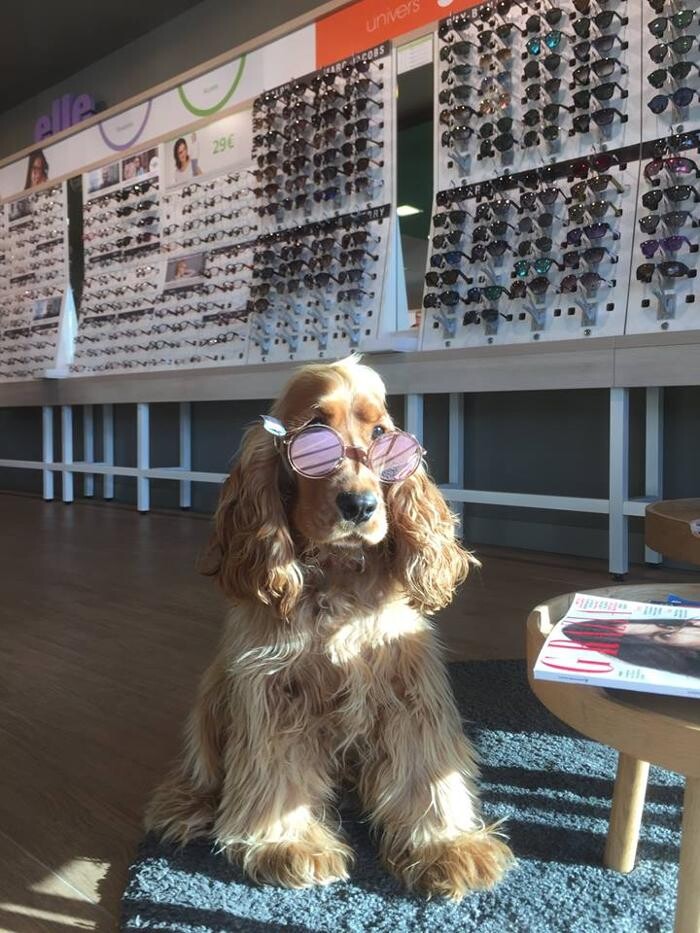 Images Opticien GRANVILLE Générale d'Optique