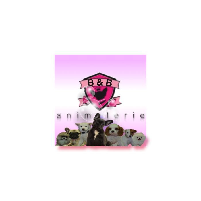 Animalerie Bull et Bill Logo