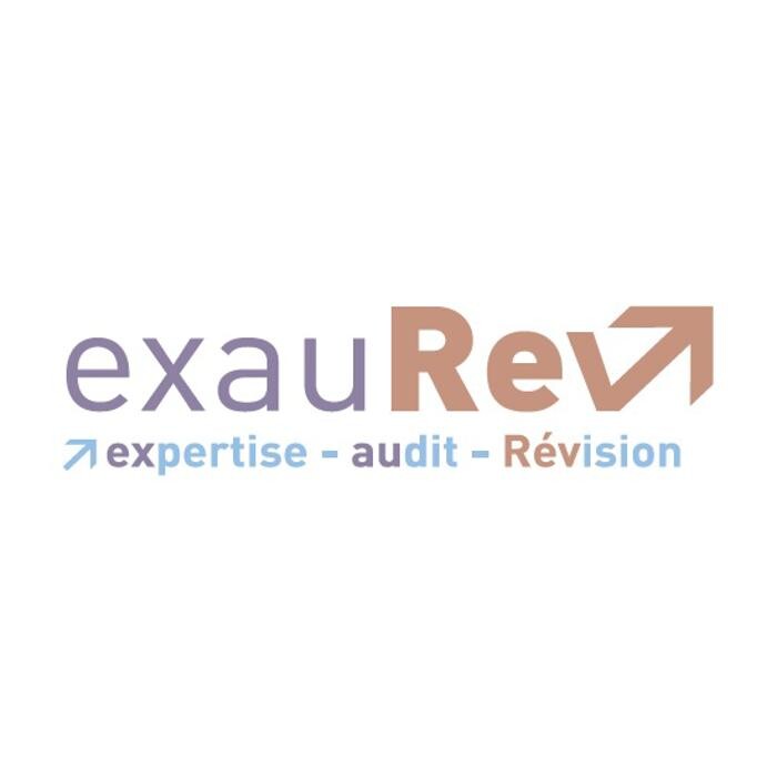 Images Exaurev Villeurbanne Lyon - Expertise comptable