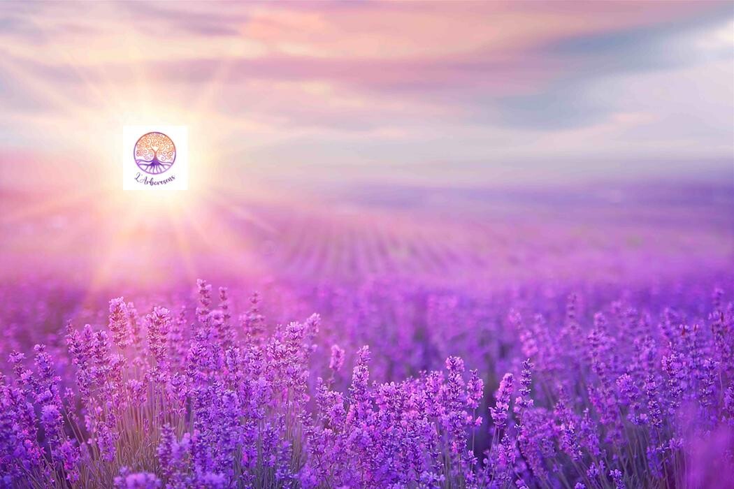 Images Céline Mohr - cabinet L'Arboresens