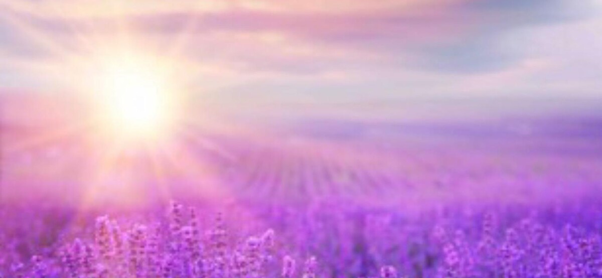 Images Céline Mohr - cabinet L'Arboresens