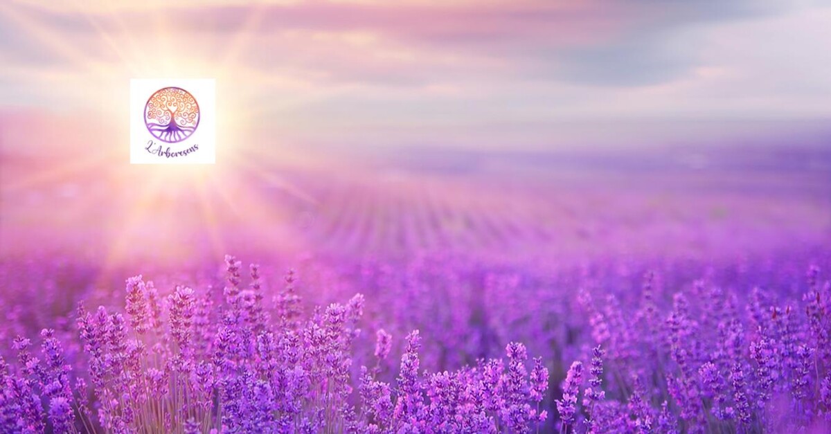 Images Céline Mohr - cabinet L'Arboresens