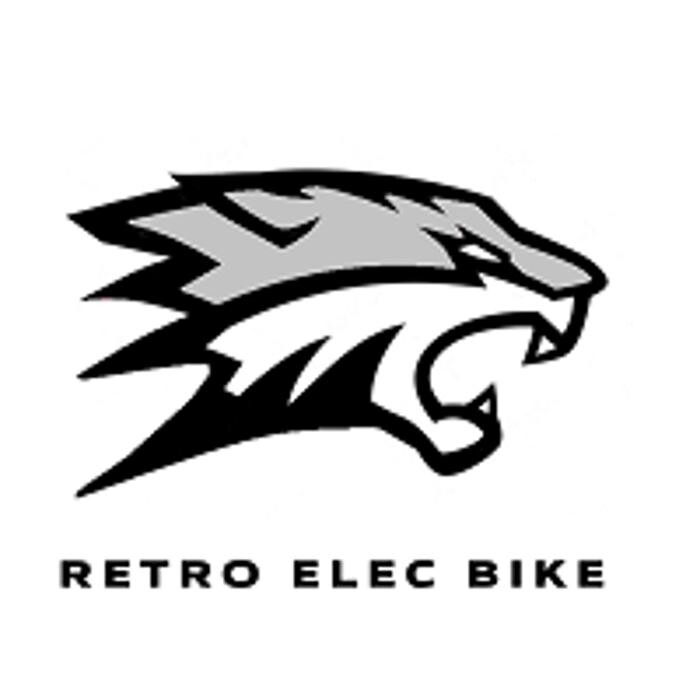Images Retro Elec Bike