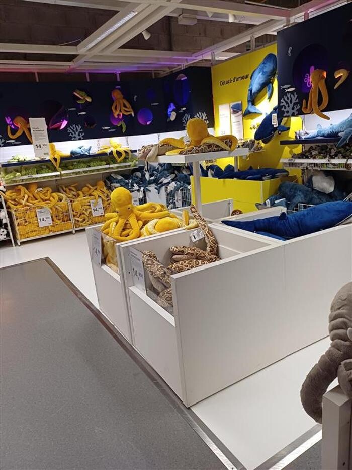 Images IKEA Saint-Etienne