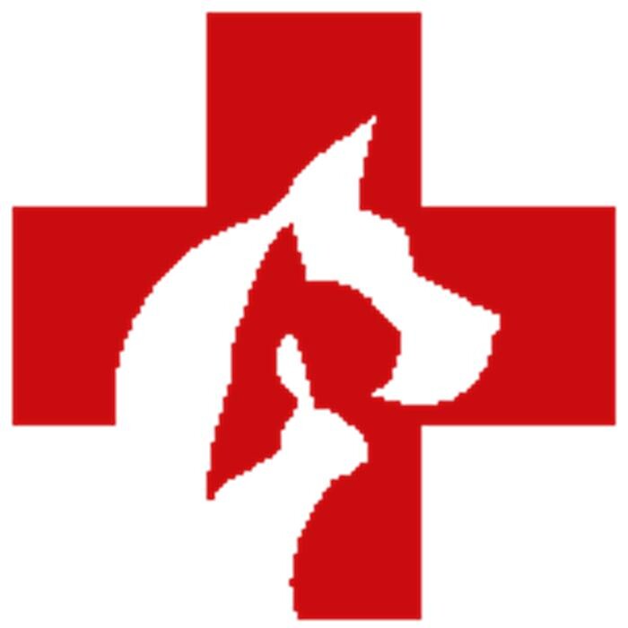 Images Veterinaires 2 Toute Urgence Lyon