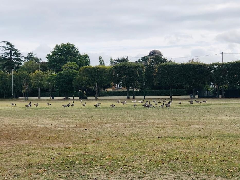 Images Agence immobilière Laforêt Le Vesinet