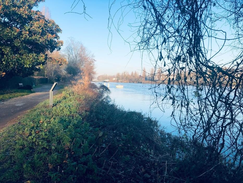 Images Agence immobilière Laforêt Le Vesinet