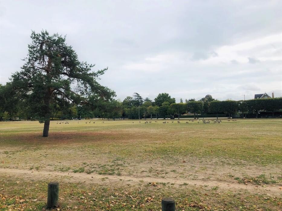 Images Agence immobilière Laforêt Le Vesinet