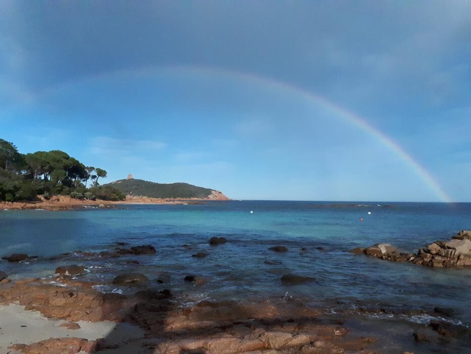 Images Agence immobilière Laforêt Porto-Vecchio