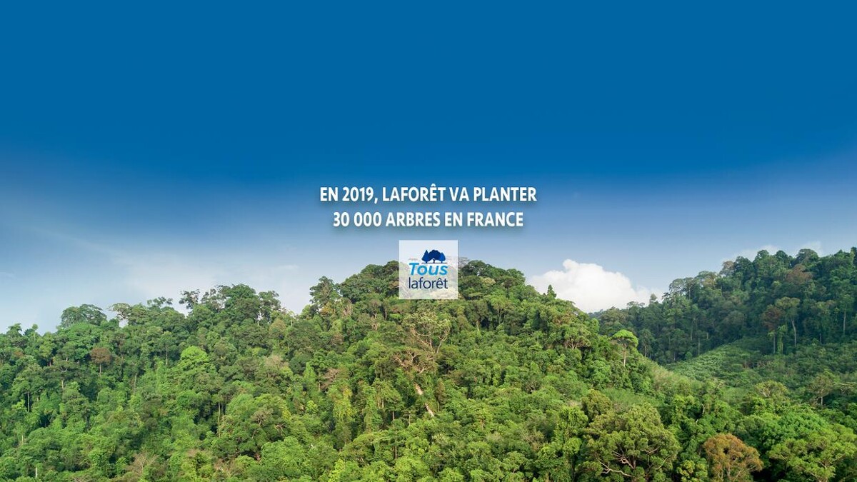 Images Agence immobilière Laforêt Paris 11Eme