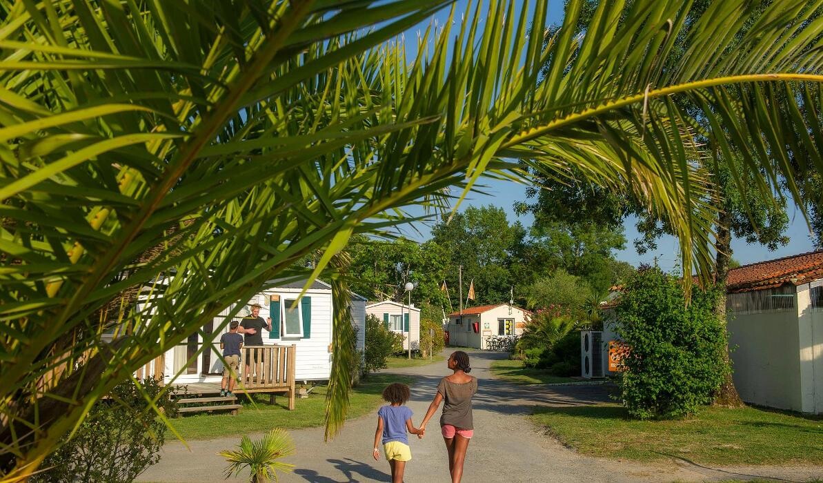 Images Camping Tohapi Les Catalpas de Royan