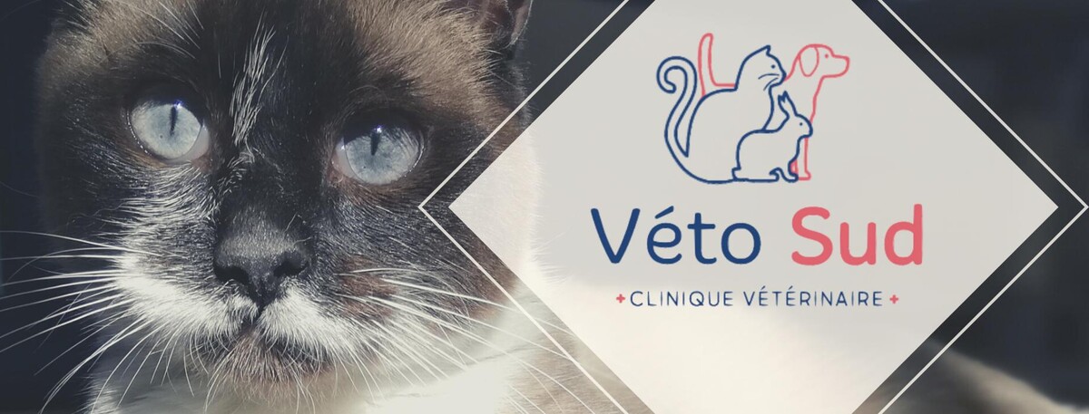 Images Vetosud, Clinique vétérinaire