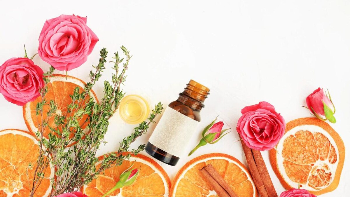 Images GREEN AND FUN