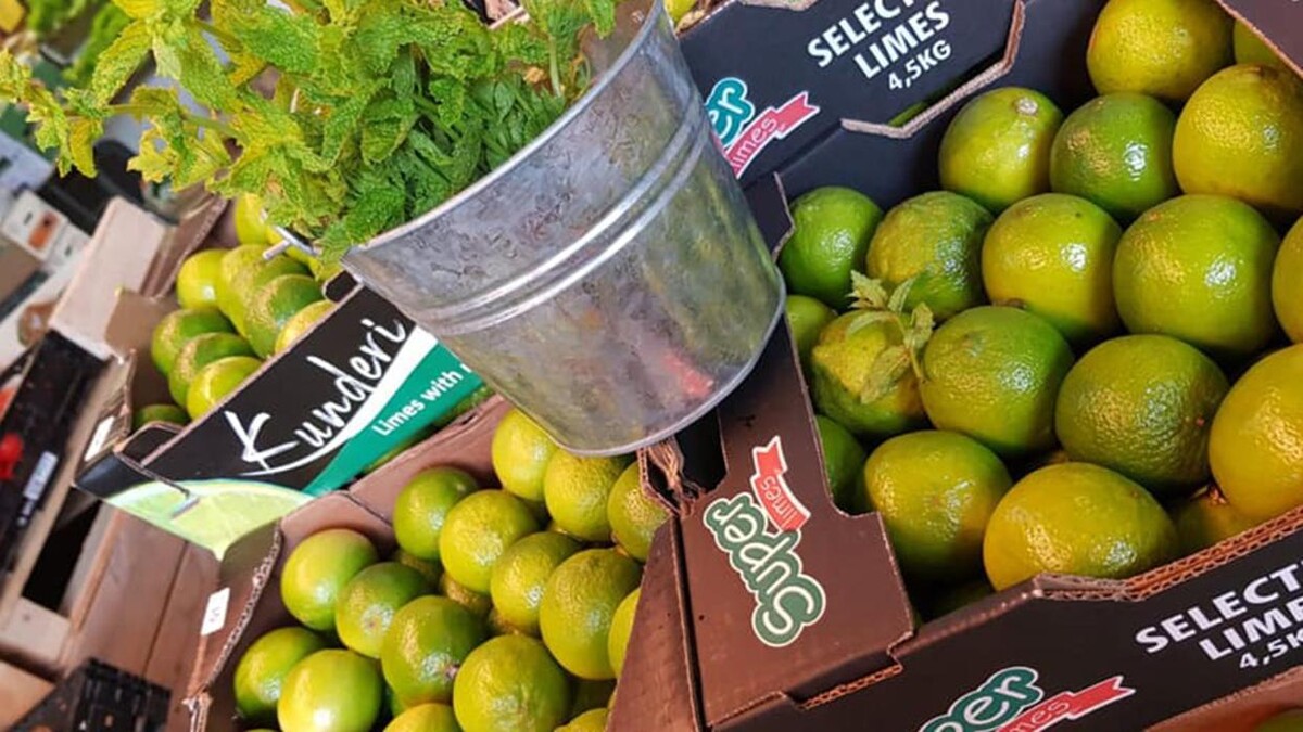 Images LES HALLES CATALANES