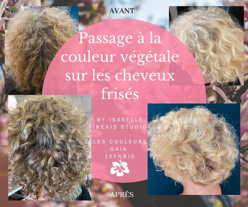 Images Salon Inexis Studio