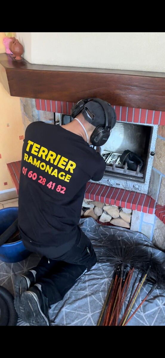Images TERRIER RAMONAGE