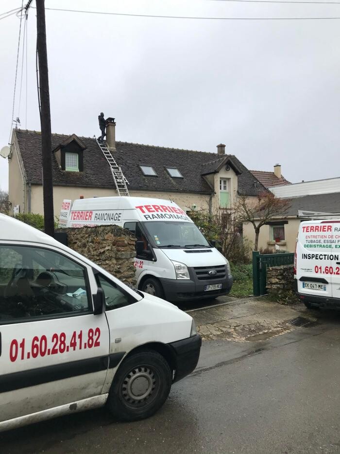 Images TERRIER RAMONAGE