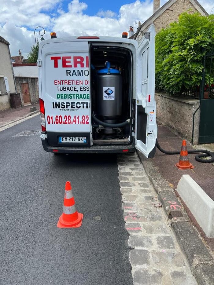 Images TERRIER RAMONAGE