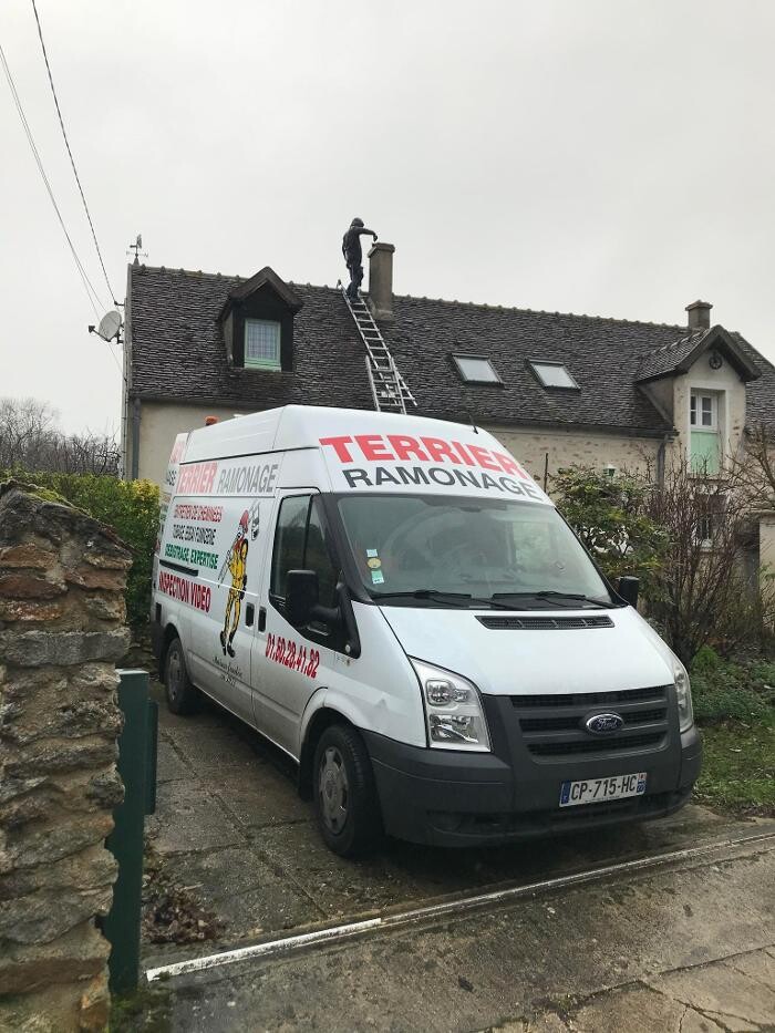 Images TERRIER RAMONAGE