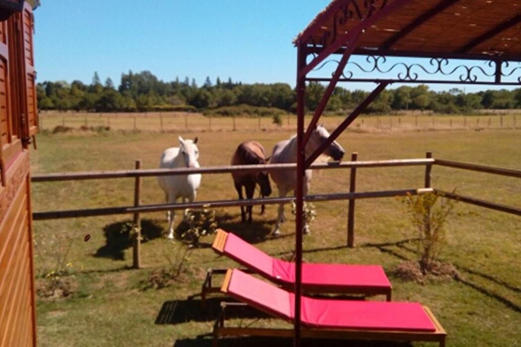 Images le mazet de jean