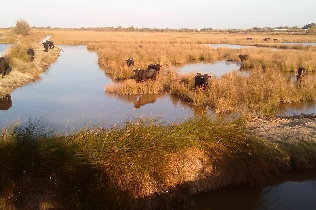 Images le mazet de jean