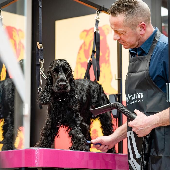 Images Tom&Co Saint Gregoire - Animalerie - Dog Wash