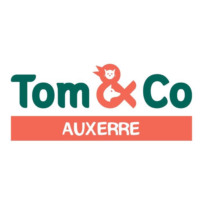 Images Tom&Co Auxerre